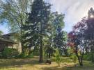 Somogy megye - Balatonfenyves