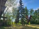 Somogy megye - Balatonfenyves